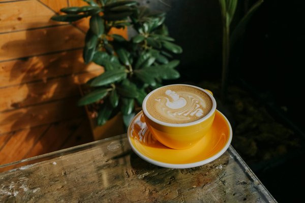 What Are the Emerging Style Trends for Women in UK Fashion?